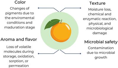 Current trends in biopolymers for food packaging: a review